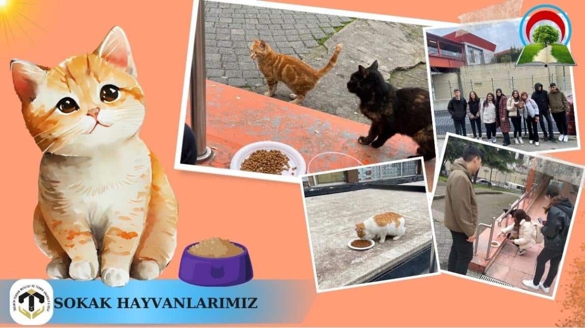 ÇEVREMİZDEKİ SOKAK HAYVANLARI